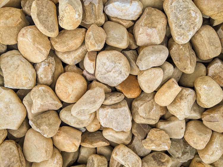 chestnut gravel