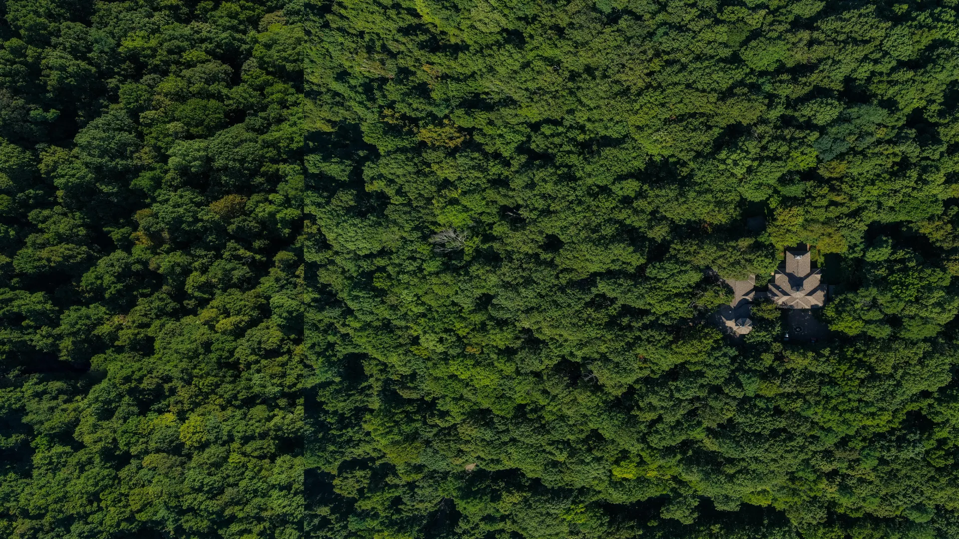 aerial photograph of high end home