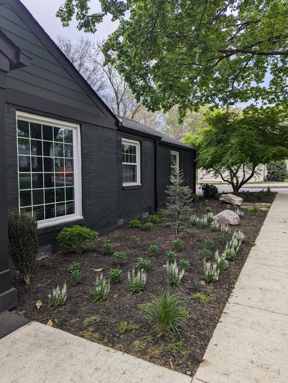 black brick house with large windows looking out into a foundation bed with native plants