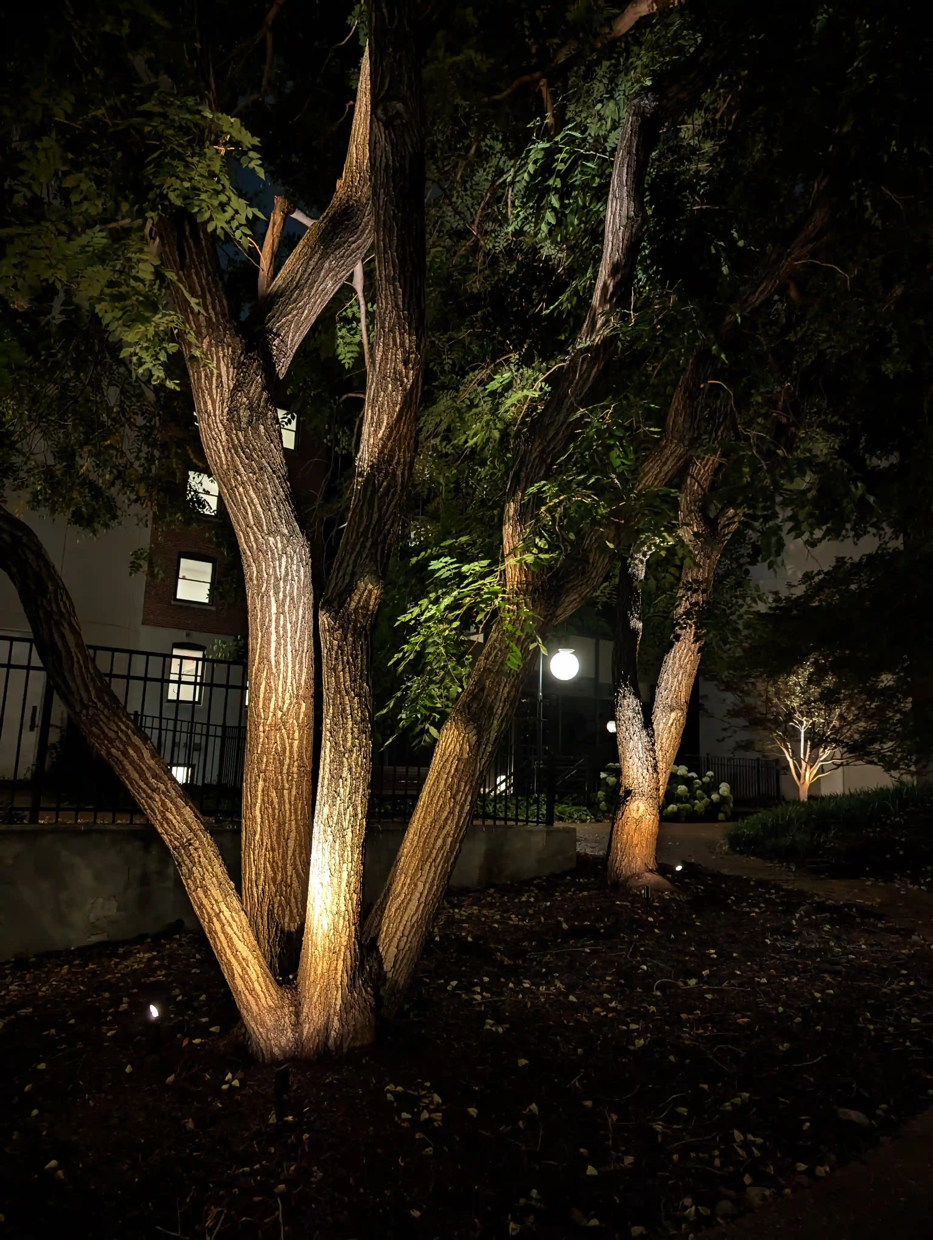 Evening view of a professionally lit outdoor entertainment space