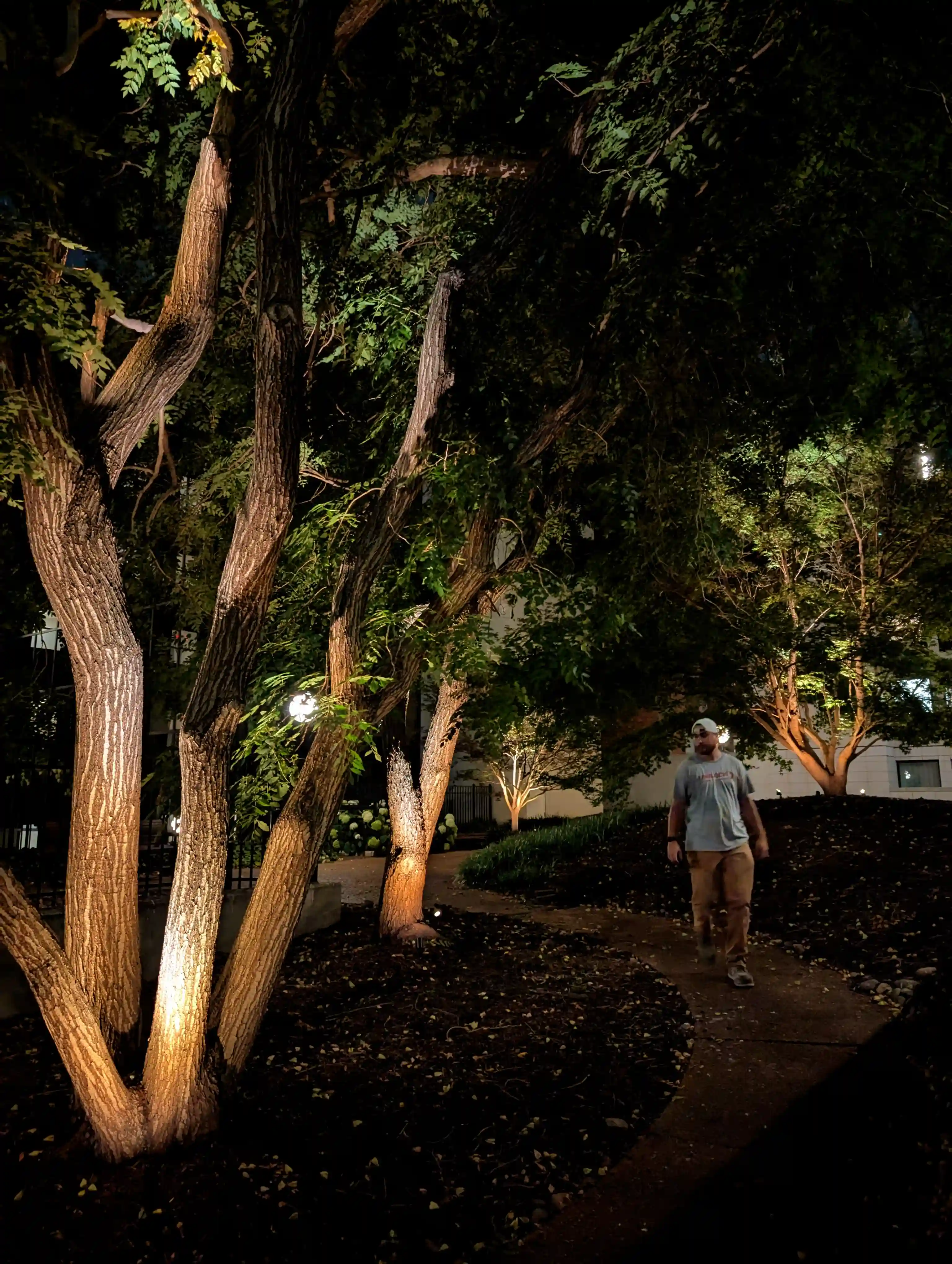 Professional landscape lighting illuminating a grand entrance after dark