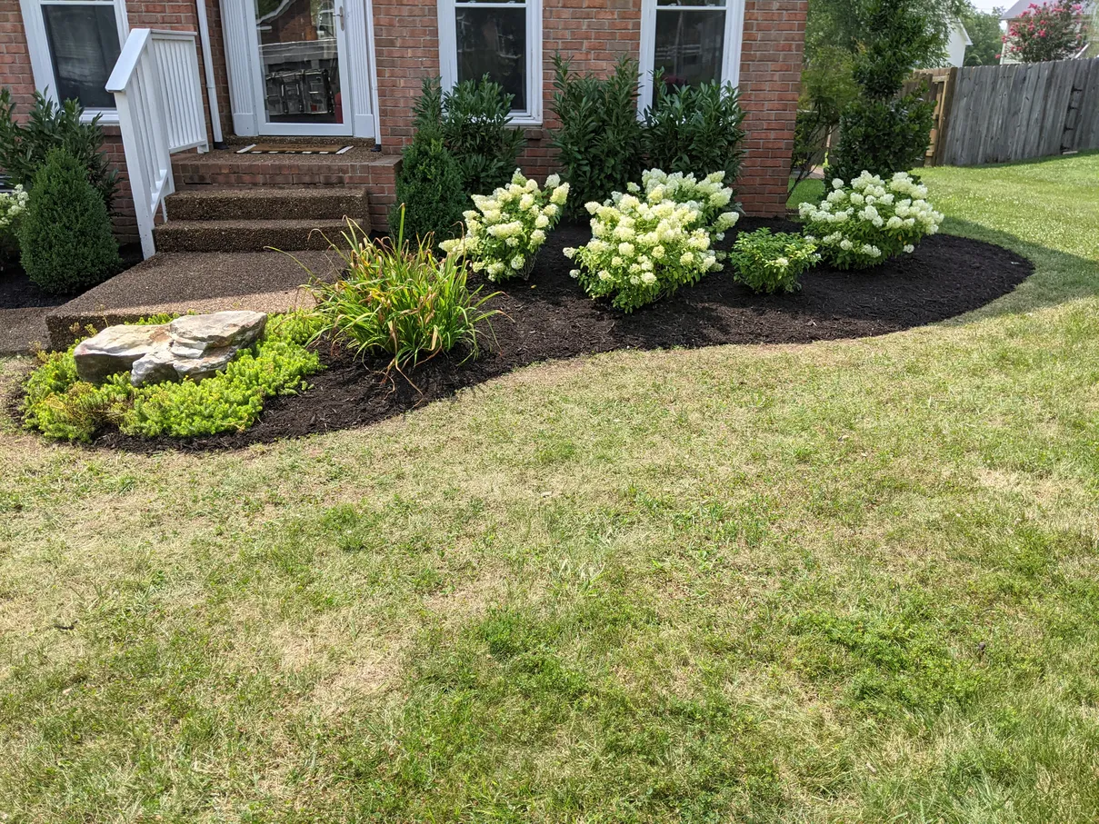 garden bed with lush green plants and fresh mulch