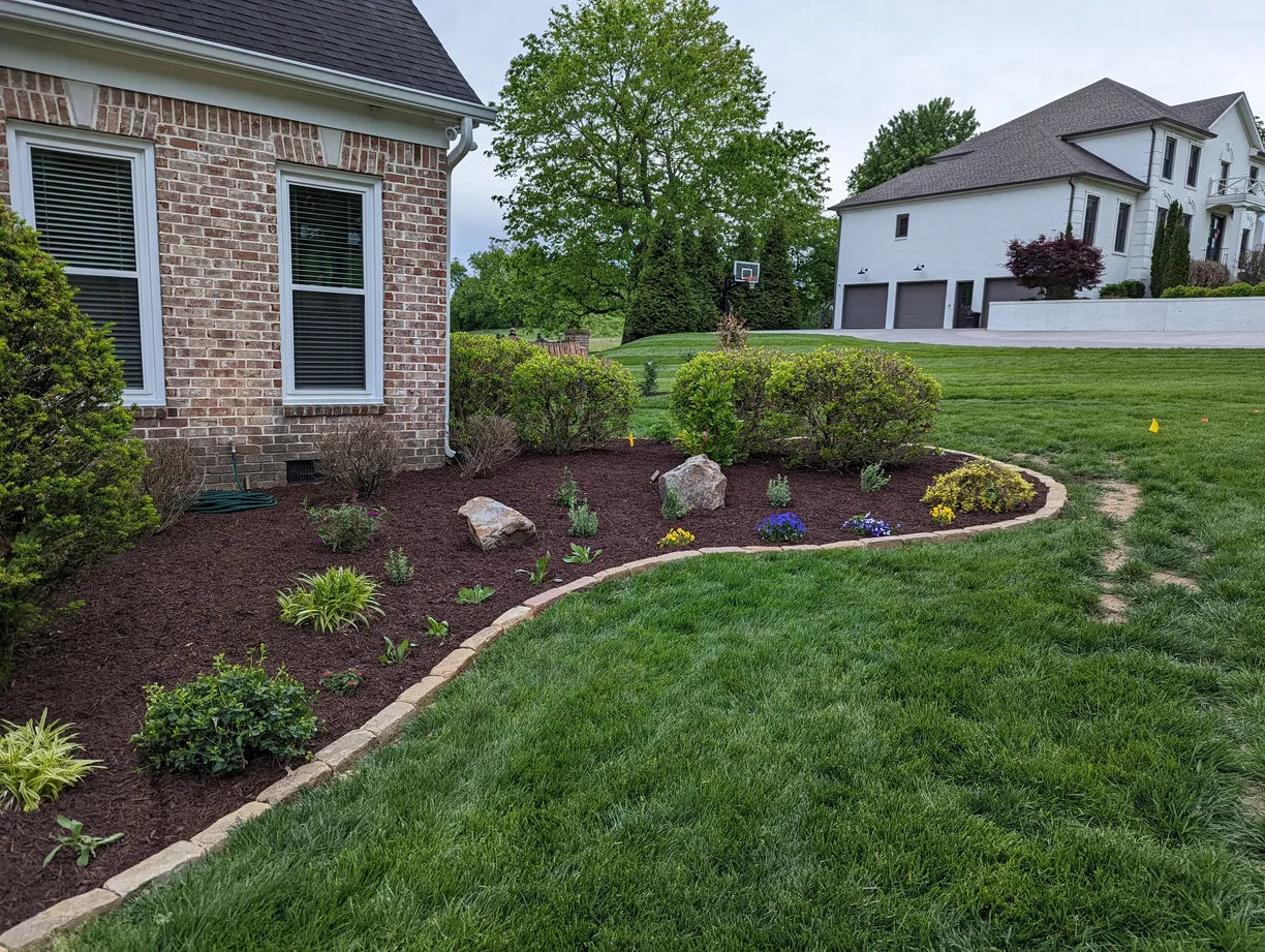 Landscape bed with brown mulch and leafy green plants
