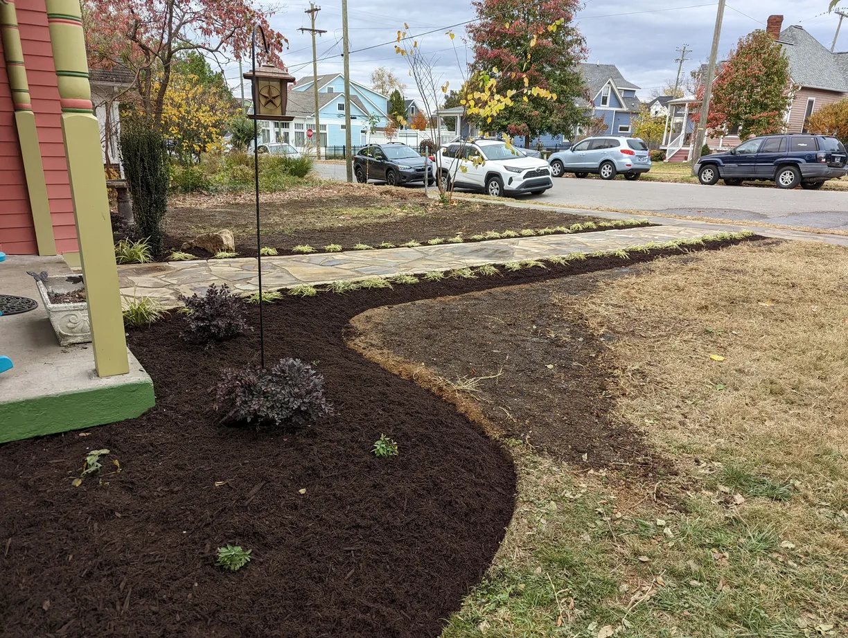 Curved garden border with rich mulch and mixed plantings