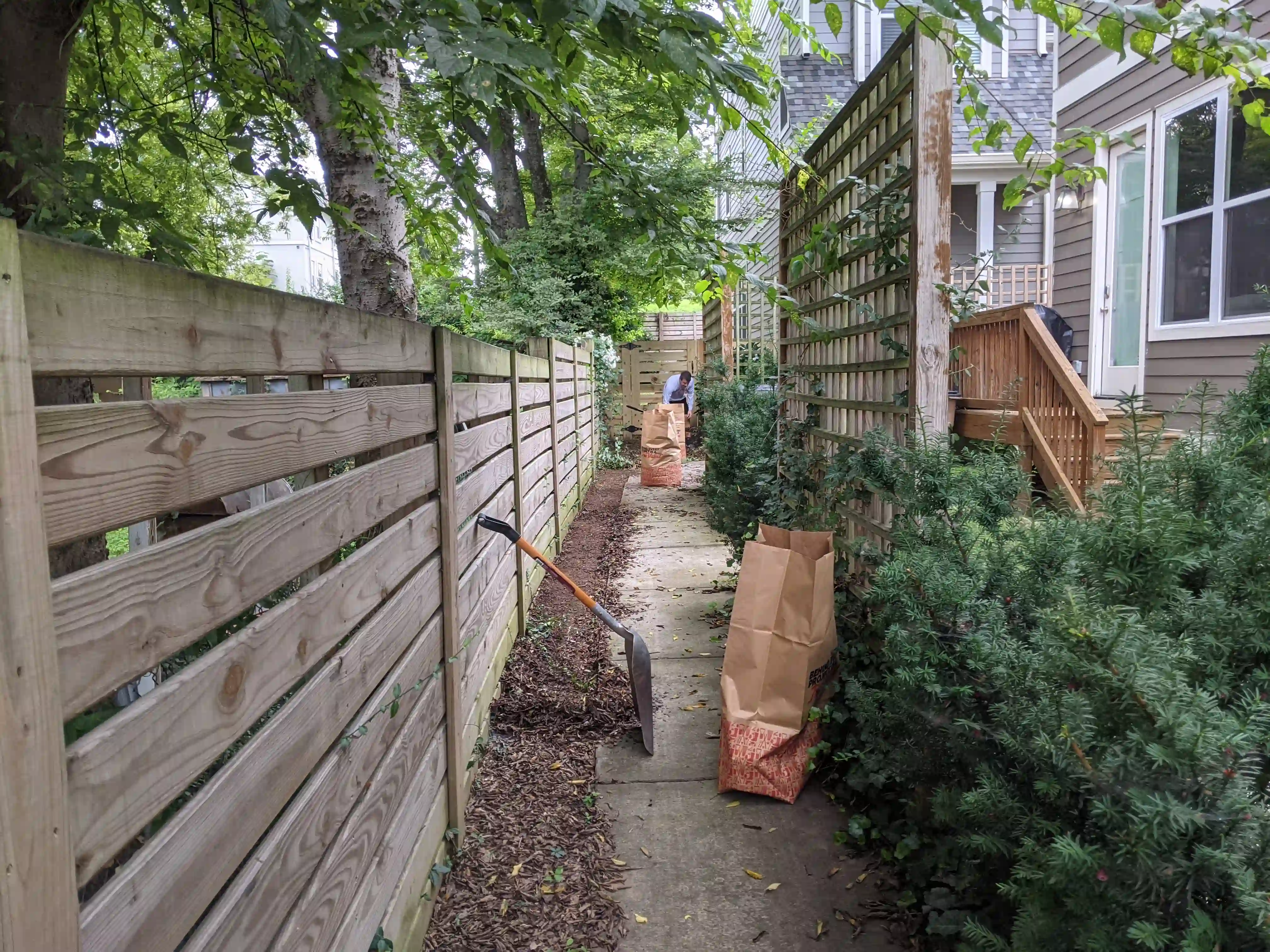 side walkway with small trees ready to be planted