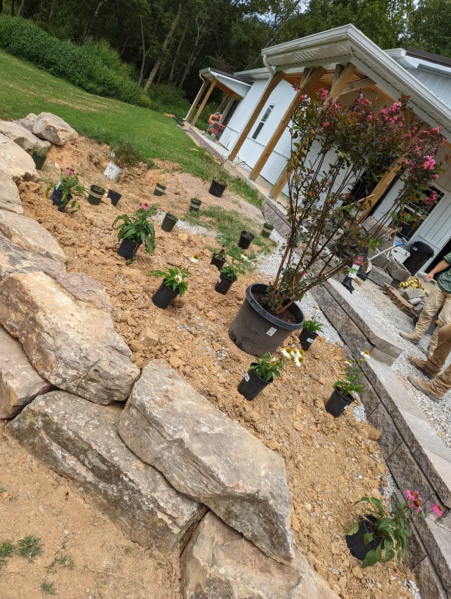multiple small green plants and one large bush in pots next to where they will be planted