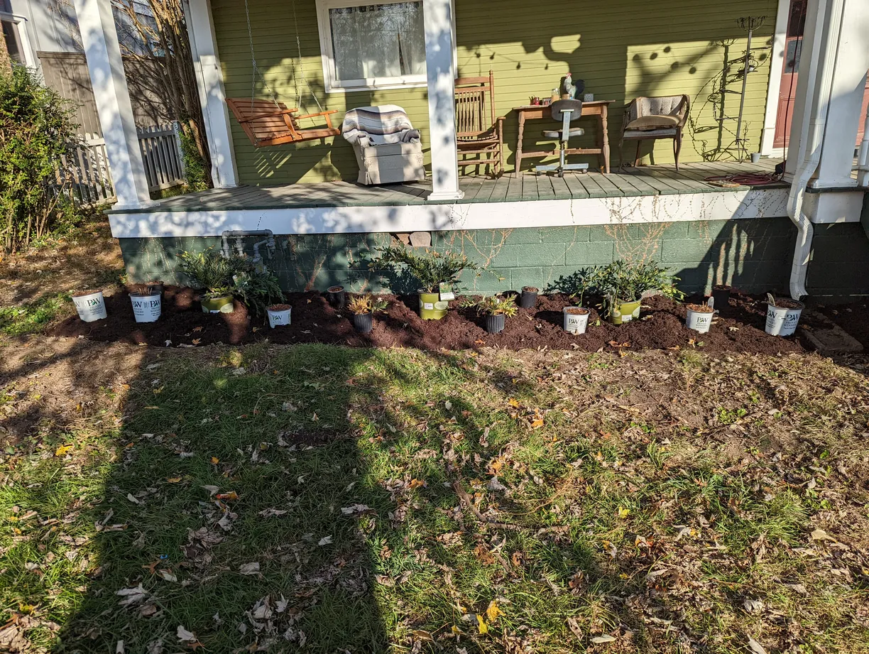small plants sitting in a foundation bed in pots waiting to be planted