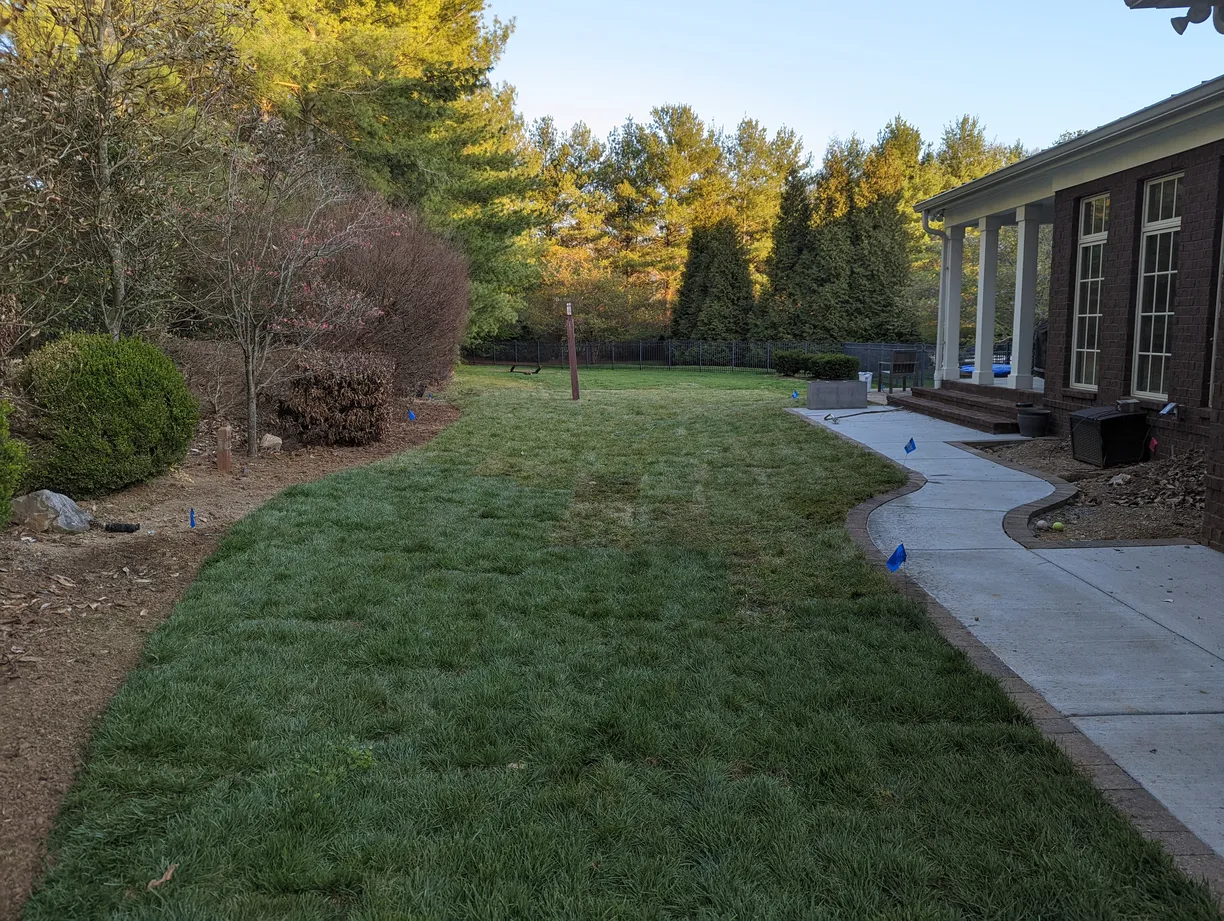 finished sod installation in a backyard