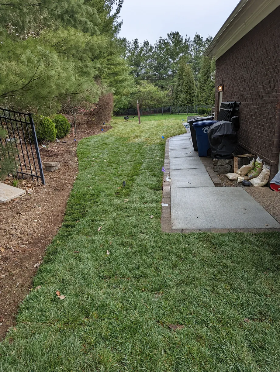 lush green grass on the side of a home