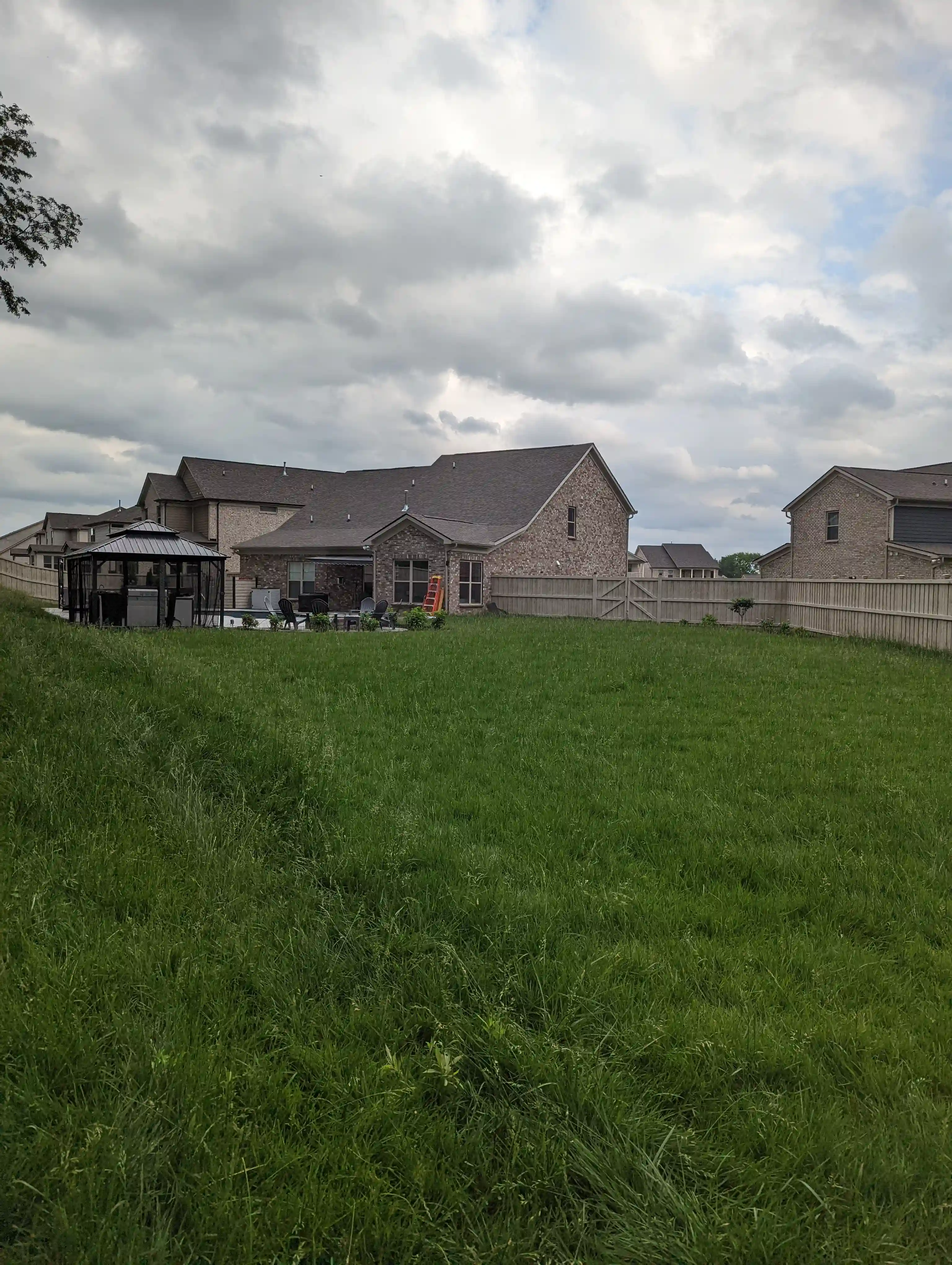 a suburban backyard looking up from the grass